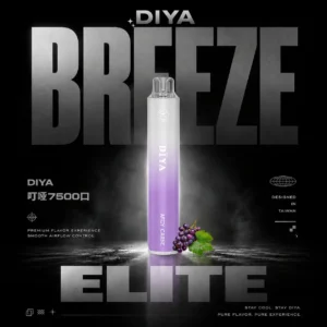 微信图片_20260615162509_931_13.webp DIYA 叮啞 7500 拋棄式電子煙|溫潤霧態平衡捕捉細微氣息|支援快速回充效能兼顧續航