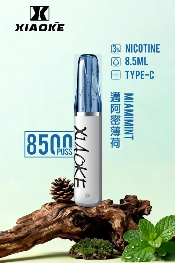 27763104a941bdf31156bc0c11499293-1024x1536.jpg XIAOKE 梟客 8500口 拋棄式電子煙|輕盈便攜霧化體驗|穩定輸出打造日常順滑口感