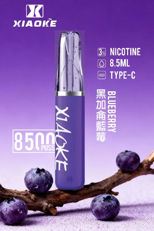 8b2c17ea1d548700b8e9ec2a9e768390.jpg XIAOKE 梟客 8500口 拋棄式電子煙|輕盈便攜霧化體驗|穩定輸出打造日常順滑口感