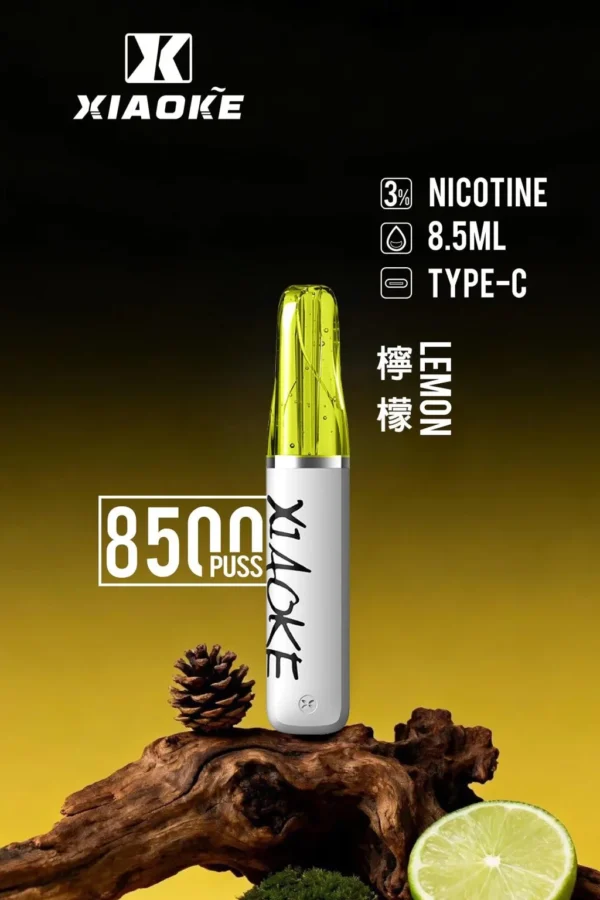 d185d7e28615e84aca893d861a0e04f4-1024x1536.jpg XIAOKE 梟客 8500口 拋棄式電子煙|輕盈便攜霧化體驗|穩定輸出打造日常順滑口感